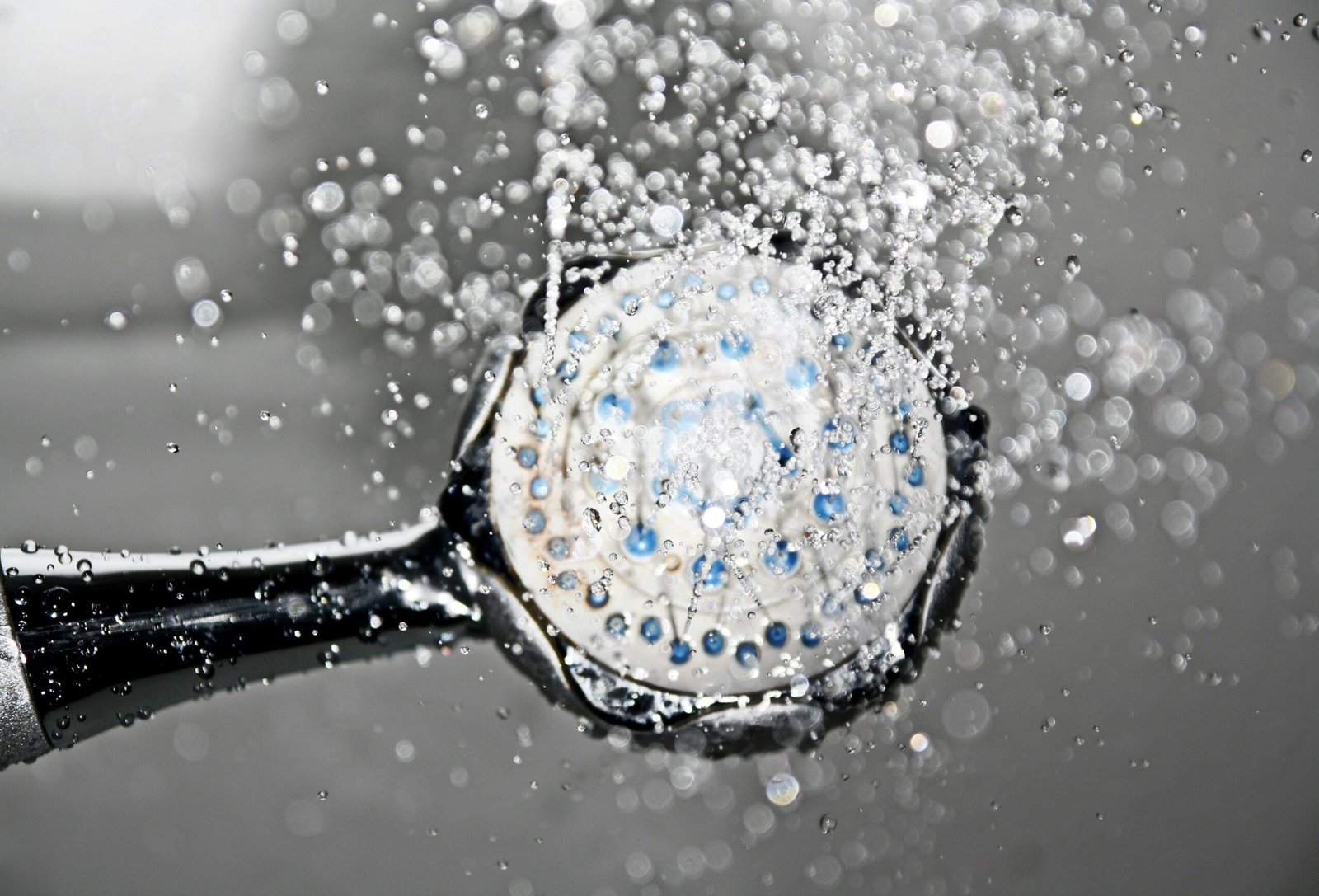 mold in shower